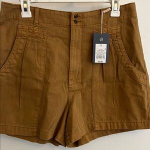 Brown High-Waisted Shorts